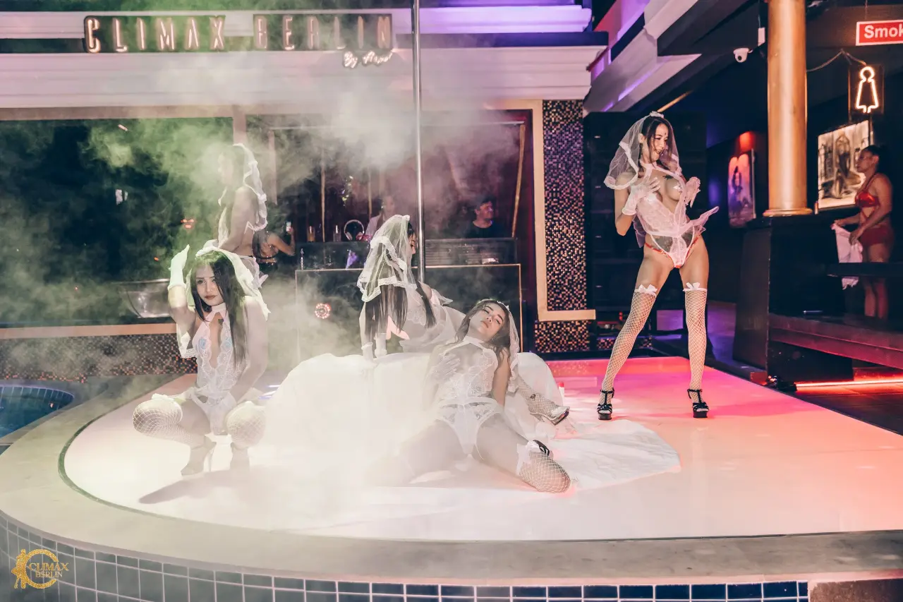 Live Shows - Image 30